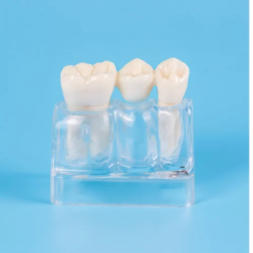 Easton PA Emergency Dentist