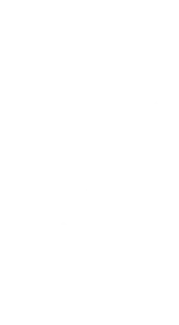 Vector 165x300 1